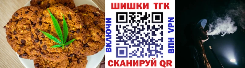 где купить наркоту  гидра tor  Canna-Cookies конопля  Инта 