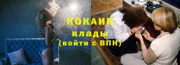 индика Волосово