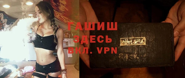 индика Волосово