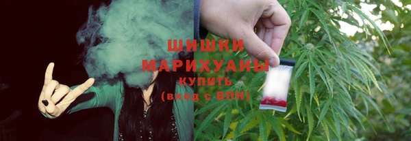 индика Волосово