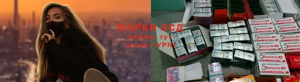индика Волосово