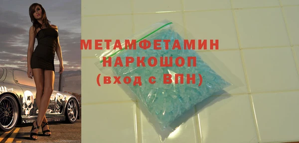индика Волосово