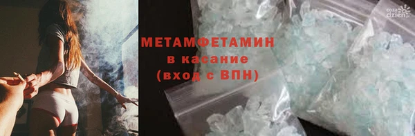 индика Волосово