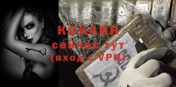индика Волосово