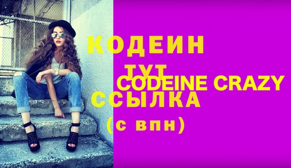 индика Волосово
